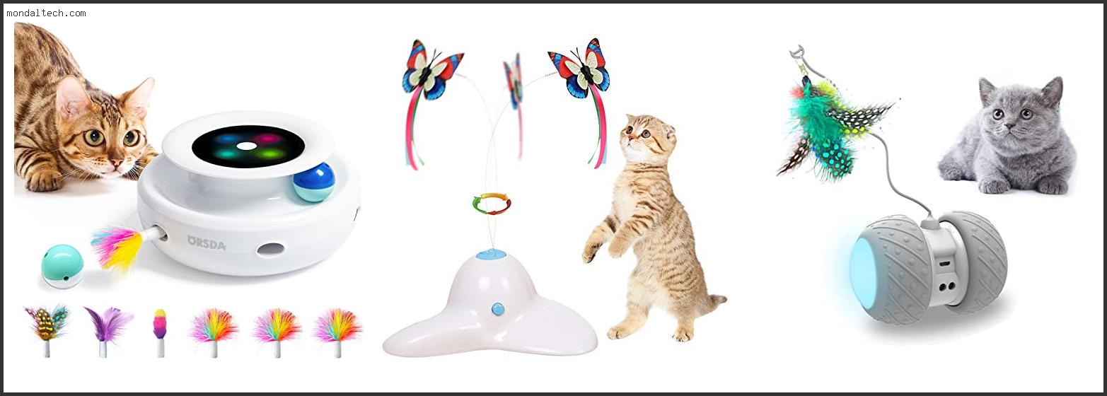 Best Electronic Cat Toys