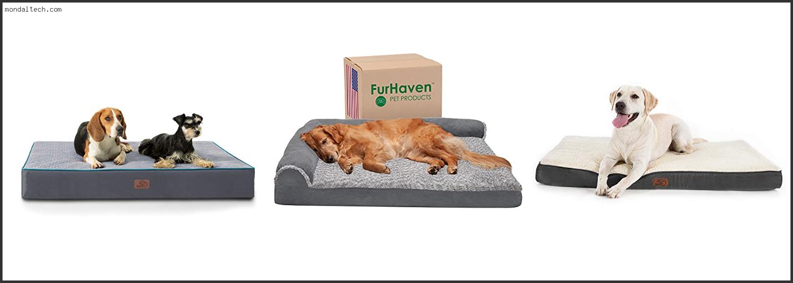 Best Orthopedic Foam Dog Beds