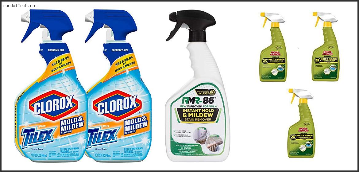 Best Mold Stain Removers